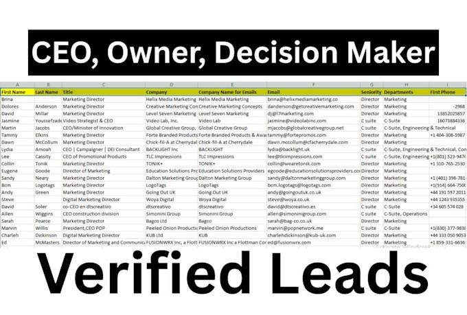 provide 50k usa ceo b2b lead generation, owner decision maker list