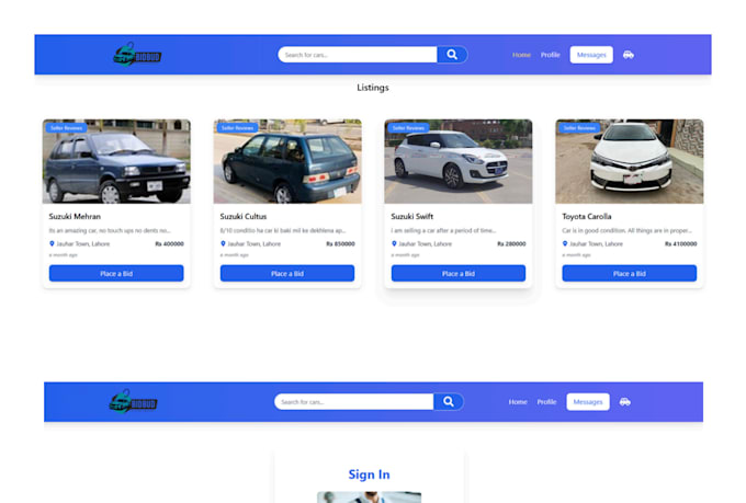 develop a professional custom website with full stack solutions