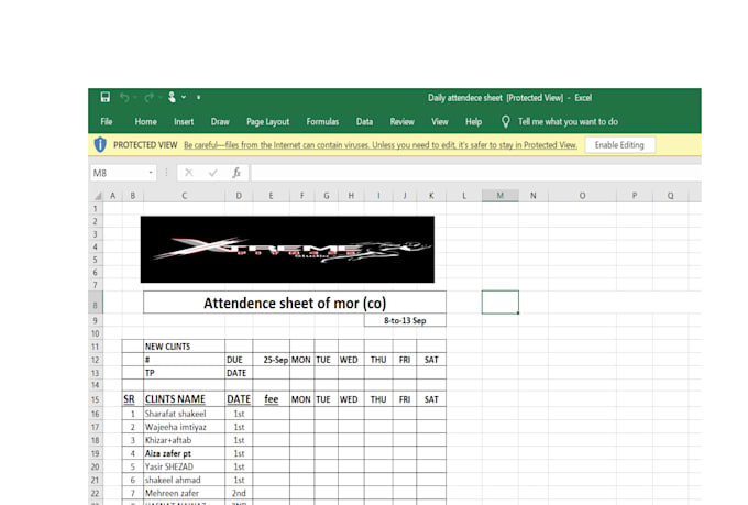 data entry, clean, merge, format, split exceldata