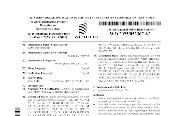 assist to file pct international patent application