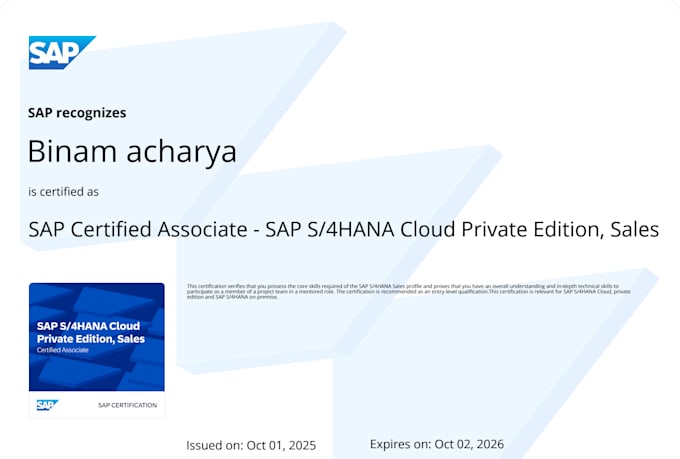 implement, configure, document and train end users on sap s4hana sd