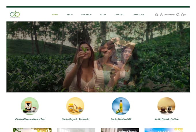 design stunning wordpress website