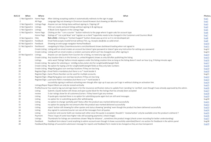 do software QA testing and bug report