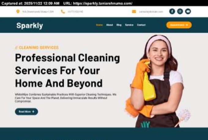 do professional wordpress cleaning service booking website