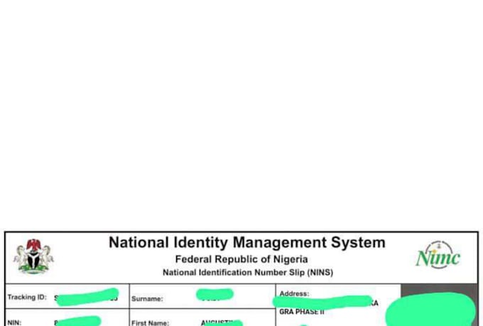 assist with nin and tin services in nigeria