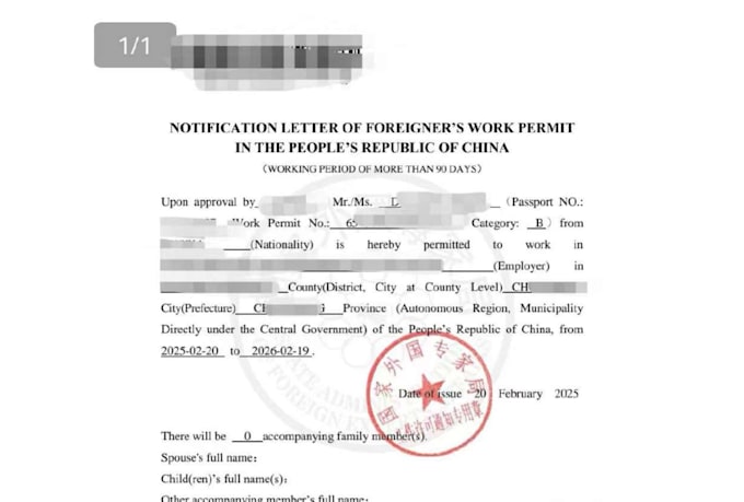 provide one stop china visa document preparation and application support