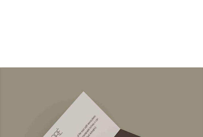 design a professional booklet or brochure layout