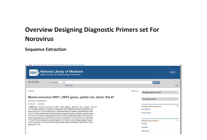 design diagnostic primer for pcr experiments