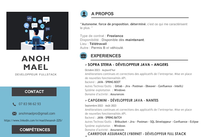 build a custom CRM or internal business tool with java spring boot