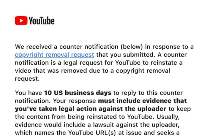send professional dmca takedown notice to remove stolen content