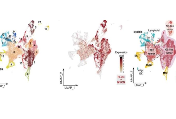 analyze scrna seq, spatial transcriptomics, and ngs data