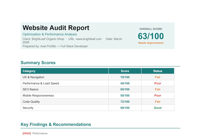 audit your website and deliver an optimization report