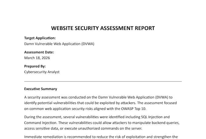 perform website vulnerability scan and security audit