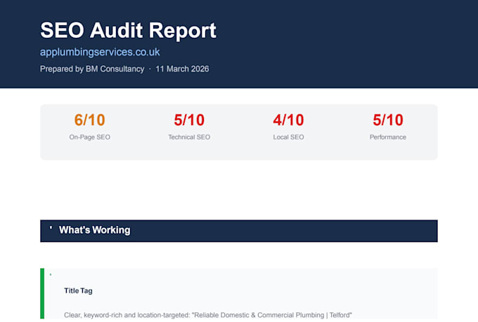 provide a professional SEO audit report for your website