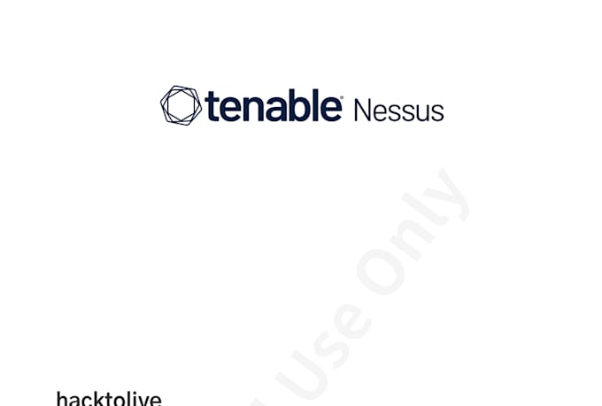 perform professional website security scan and vulnerability assessment