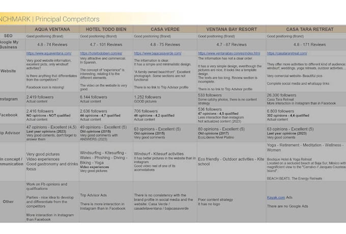 deliver a competitor analysis and define your buyer persona