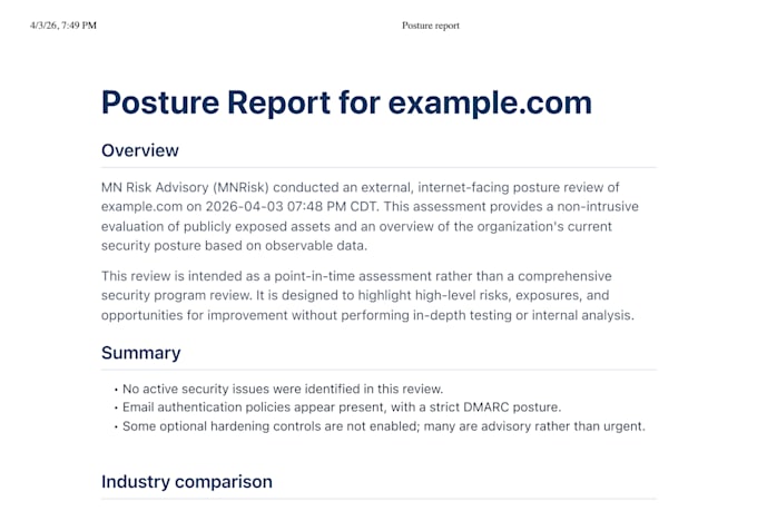 perform a dns and domain security assessment report