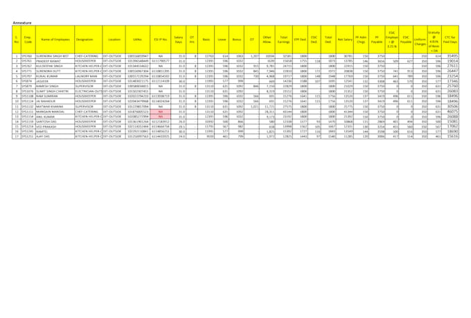 do data entry, copy paste, pdf to excel and typing work