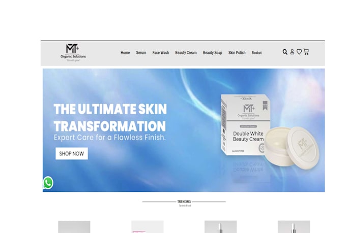 do woocommerce wordpress site,webshop and manage your store