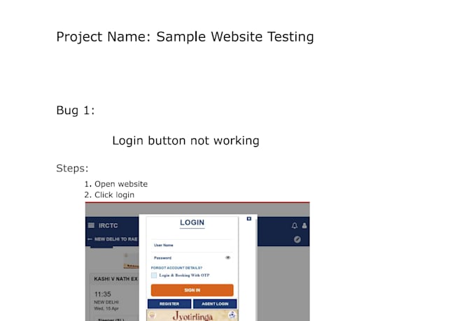 do manual testing, website testing, and bug reporting professionally