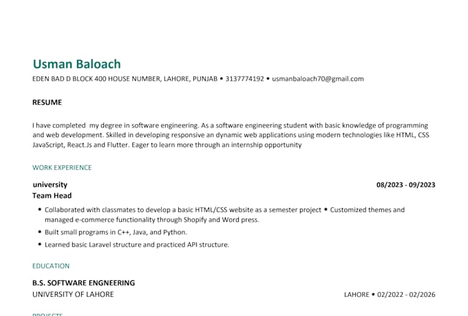 write and design a professional resume and CV