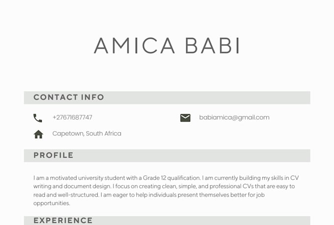 write a professional CV or resume