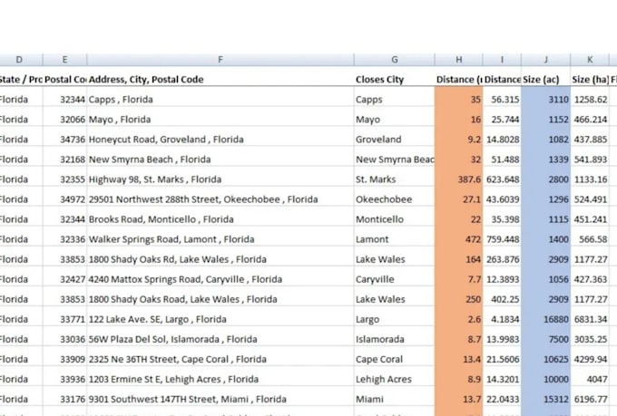 do profe excel data entry, data cleaning and formatting