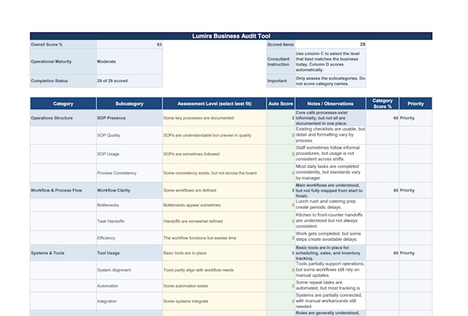 audit your business operations and provide an action plan