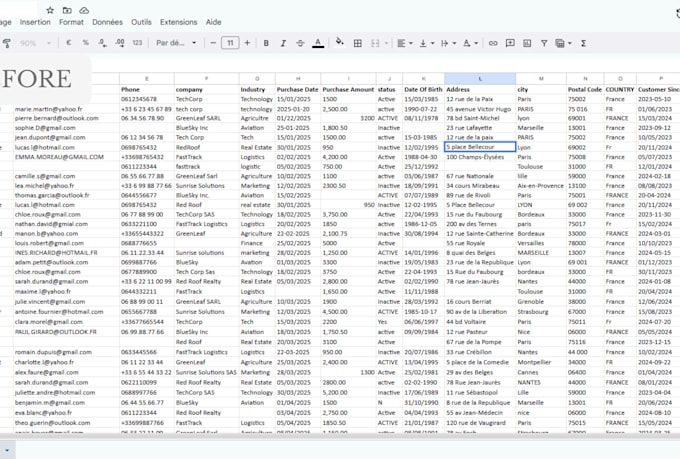 do data entry, copy paste and excel cleanup