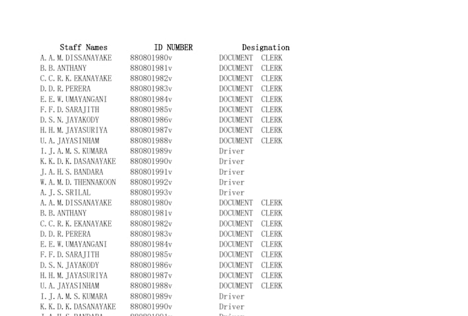 do professional python data cleaning and excel automation