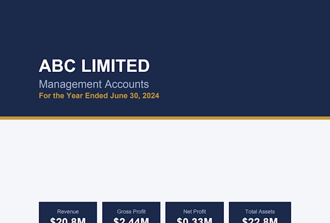 prepare ifrs or gaap financial statements with ratio analysis for your business