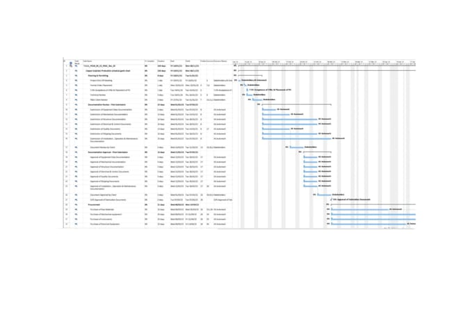 do professional ms project scheduling and gantt charts