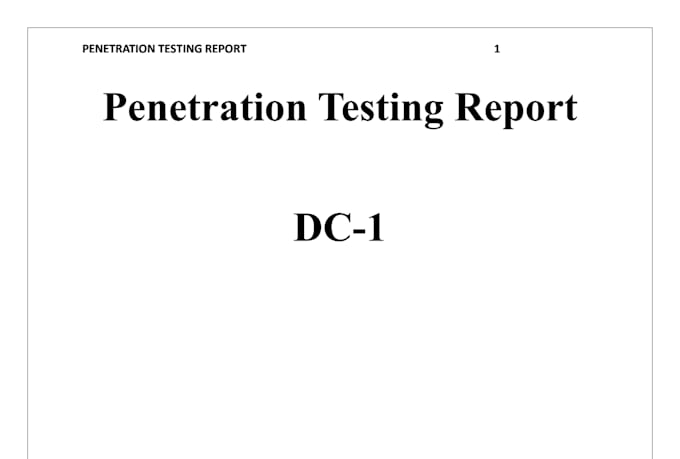 perform owasp top 10 web application security testing