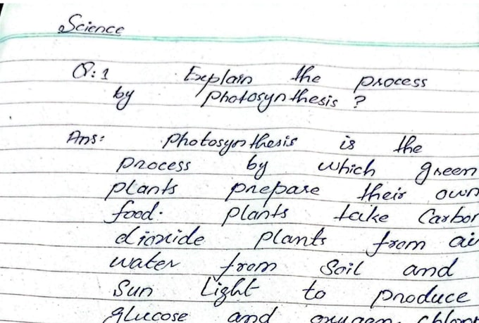 do urgent handwritten notes and assignment writing in 24 hrs