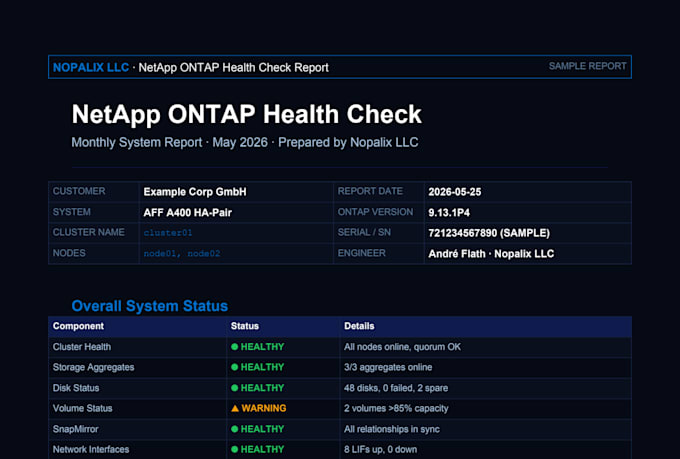 provide expert netapp ontap storage administration