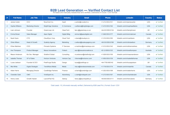 professional b2b lead generation