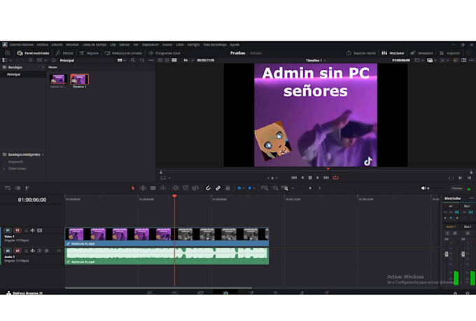 editor de videos principiante