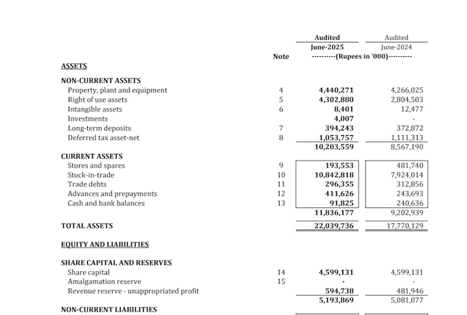 prepare financial statements and monthly management reports