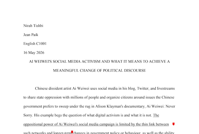 write a professional paper or article in 24 hours