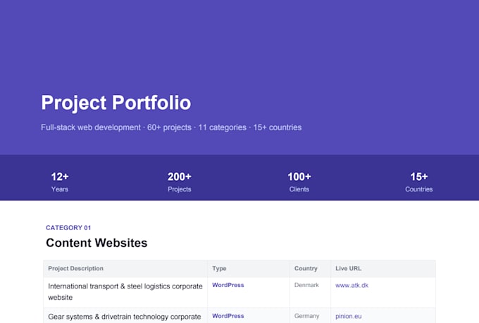 build a custom wordpress plugin, theme or woocommerce solution