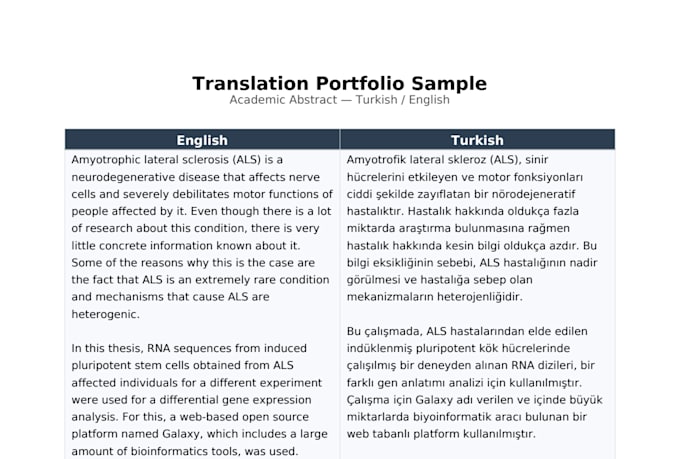 translate academic papers between turkish and english