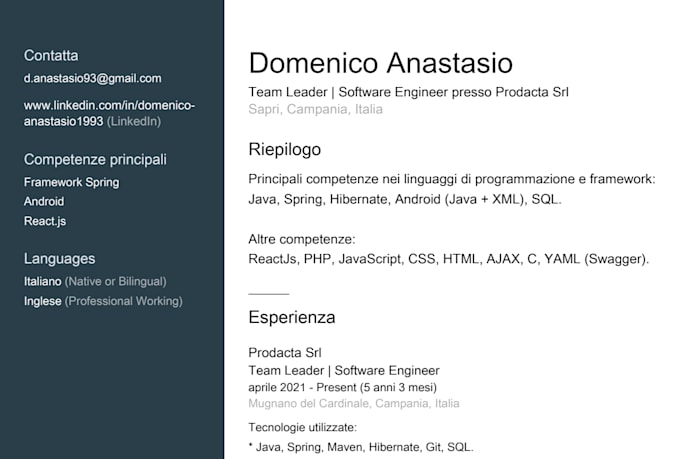 be your developer and software engineer