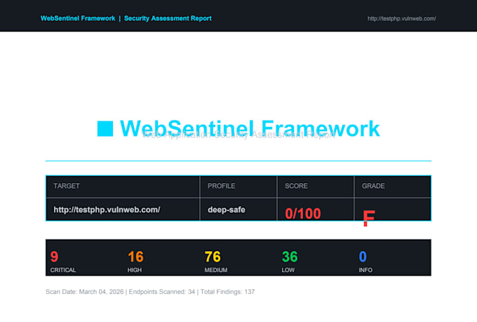 do professional website security audit and vulnerability assessment