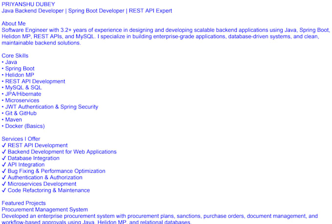 java spring boot bugs and backend issues