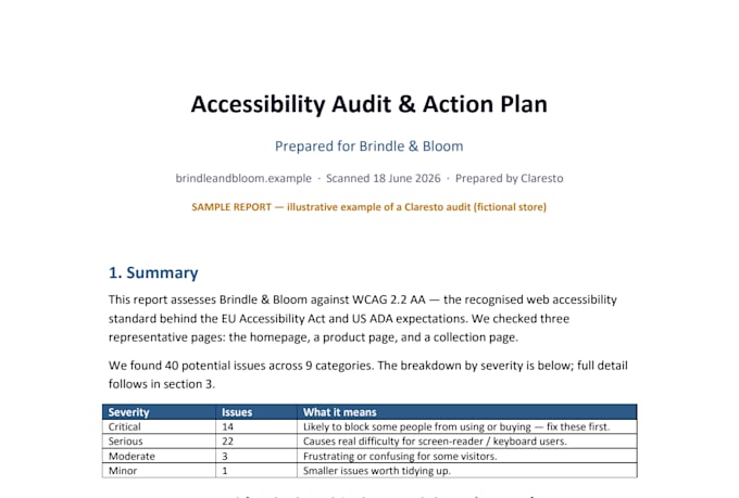 audit your website for accessibility issues including wcag and aa