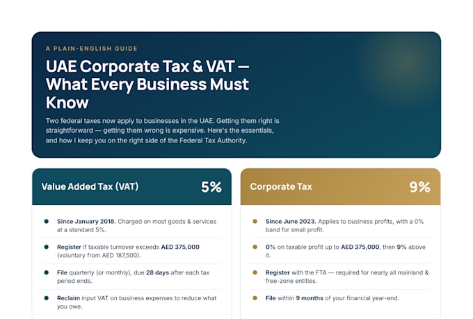 provide professional uae corporate tax and vat services