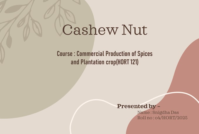 create custom powerpoint presentations professionally
