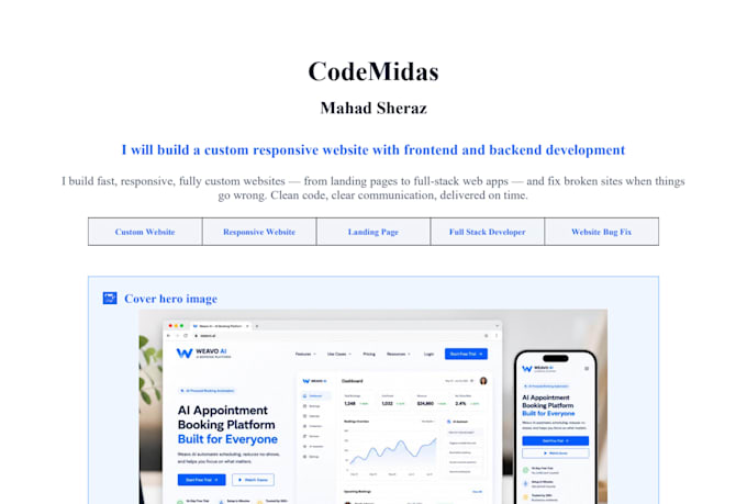 build or redesign a beautiful modern wordpress website