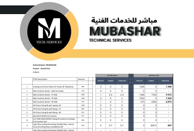 provide professional data entry with 100 accuracy