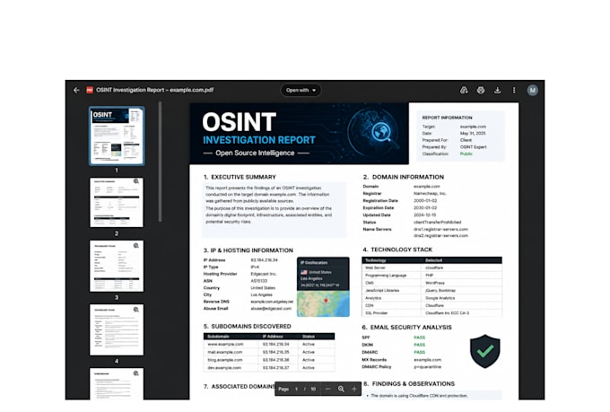 deliver professional osint reports